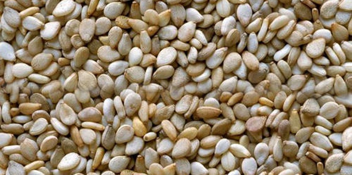 Sesame Seed from TROPICAL PLANTS (NIG) LIMITED in Nigeria Social