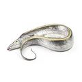 Fresh Largehead Hairtail