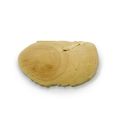 Malaysian Ginseng