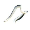 White Ribbon Eel