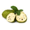 Fresh Soursop