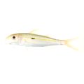 Yellowstripe Goatfish