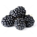 Black Blueberry