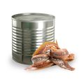Canned or Jarred Anchovy