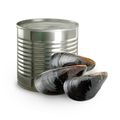 Canned Mussel