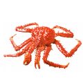 Southern King Crab