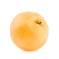 Chinese Pear