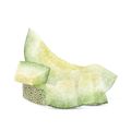 Frozen Melon