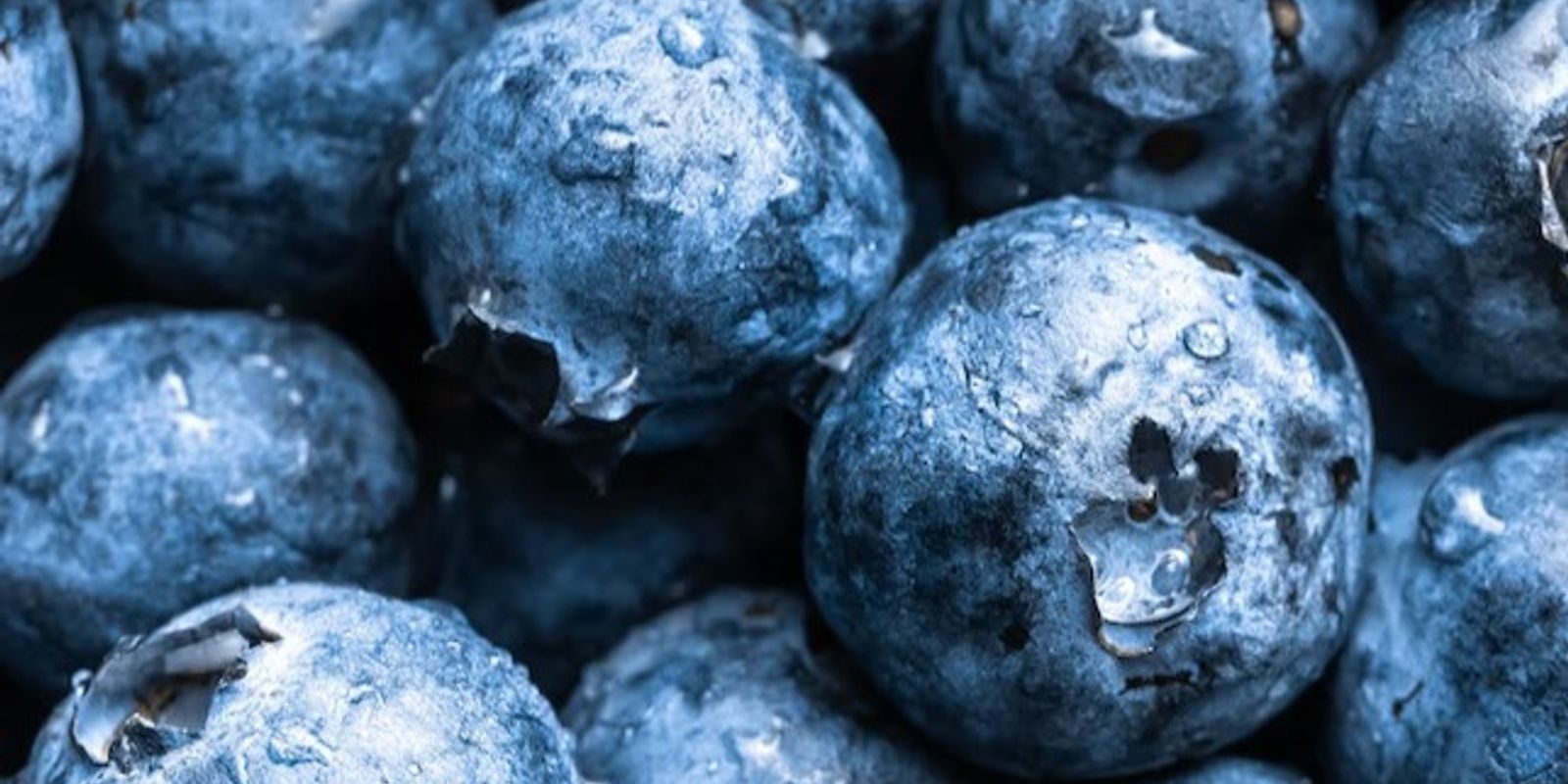 South Africa Fresh Blueberry market overview 2023