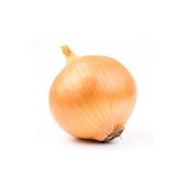 신선 양파