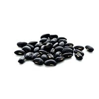 Dried Black Gram Bean