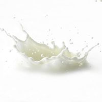 Lactose