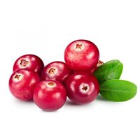 Fresh Cranberry