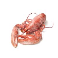 Frozen Common Lobster