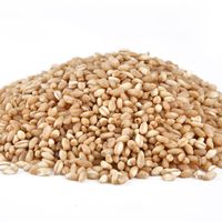 Otros salvados de cereales