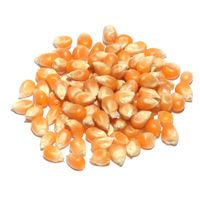Popcorn Snack