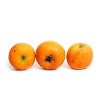Mexican Hawthorn