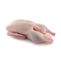 Goose Meat