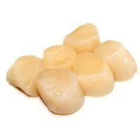 Frozen Scallop