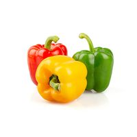 Capsicum