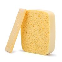 Wood Pulp