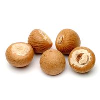 Areca Nut