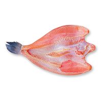 Fresh Snakehead Fillet