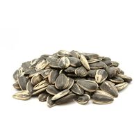 Sunflower Seed