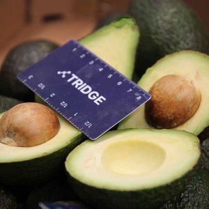 2022 Fresh Avocado global market overview today - Tridge