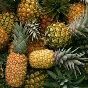 Fresh Common Pineapple