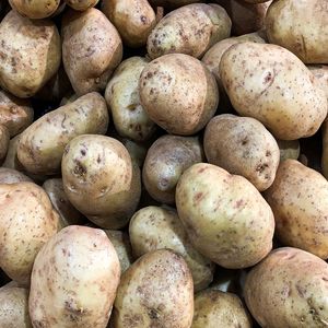 Fresh Common Potato