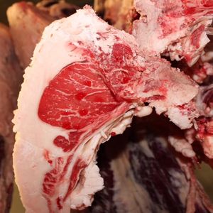 Frozen Beef Cut With Bone