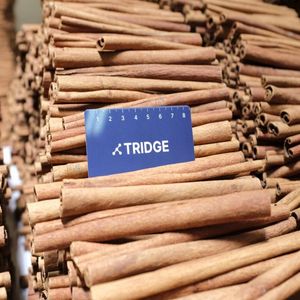 シナモン ホール のサプライヤー 卸売価格 世界市場情報 Tridge