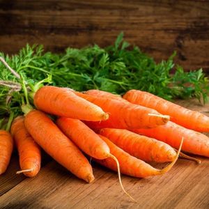 Zanahoria fresca