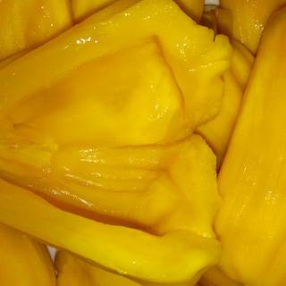 jackfruit 2.jpg