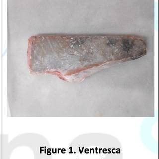 Figure 1. Ventresca.jpg.png