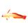 Elegant Firefish