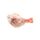 Frozen Chicken Cut