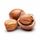 hazel-nut