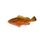 Spotted Grouper
