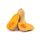 Squash