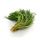 Agretti