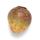 Rutabaga