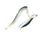 White Ribbon Eel
