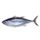 Fresh Yellowfin Tuna