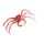 Blue King Crab