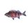 Redfinger