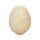 Turkey Egg