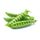 Fresh Common Pea