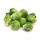 Brussels Sprout